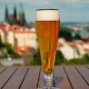 Гордость Чехии: 6 самых знаменитых марок пива!